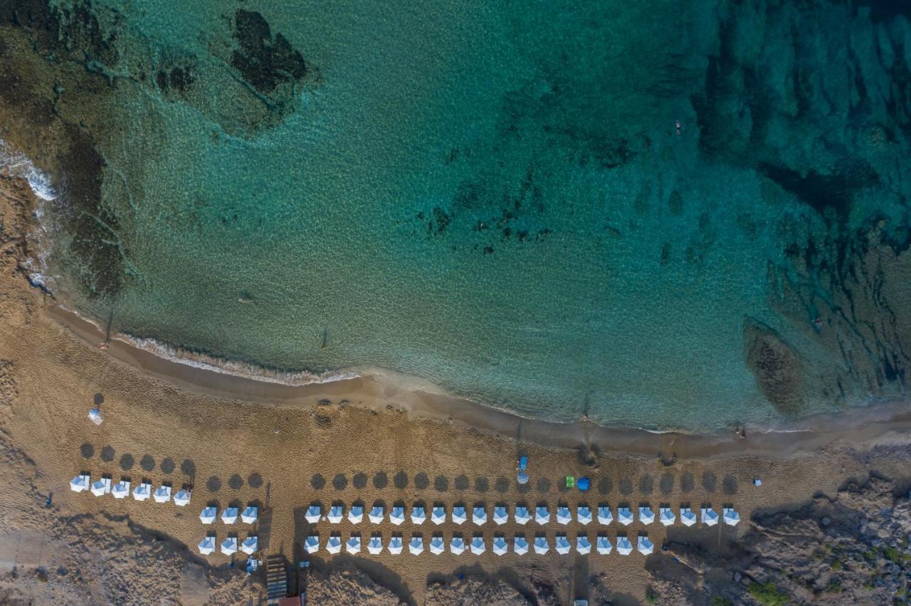 Ifestos Kings Resort Appartment Paphos Ngoại thất bức ảnh