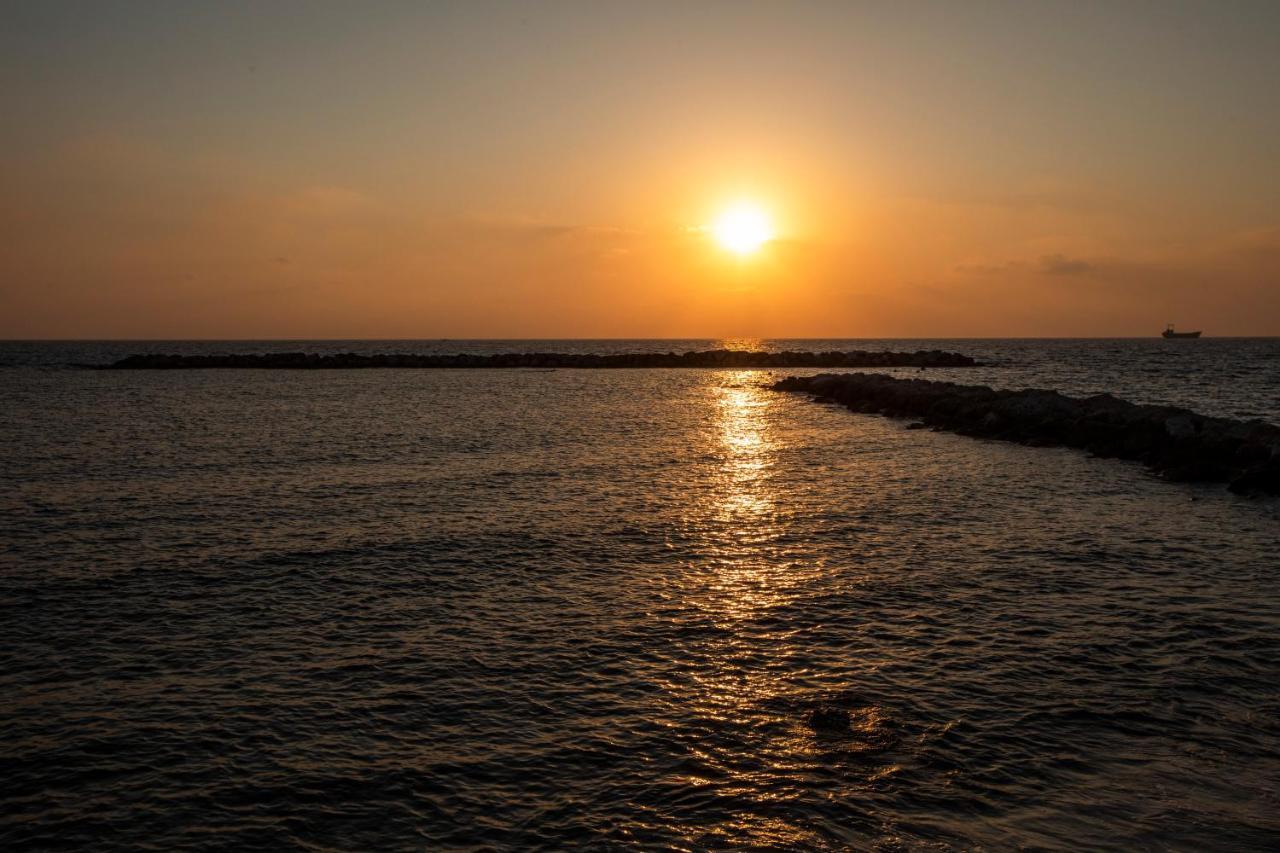 Ifestos Kings Resort Appartment Paphos Ngoại thất bức ảnh